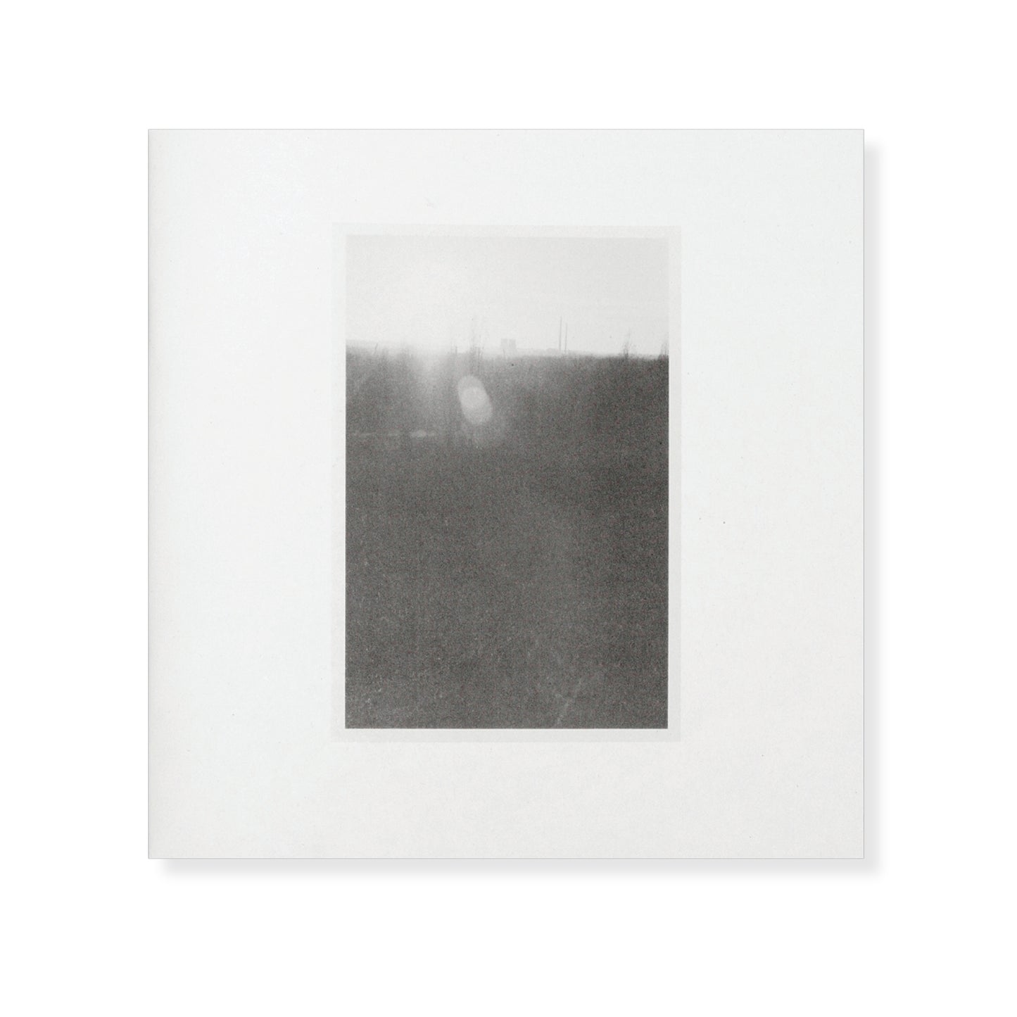 Al White – Red Point